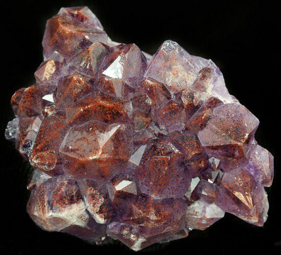 Thunder Bay Amethyst Cluster With Hematite #46294